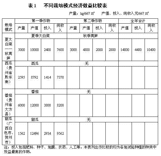 High-efficiency cultivation methods for flue-cured tobacco seedlings, summer Chinese cabbage, and autumn lettuce in three seasons a year