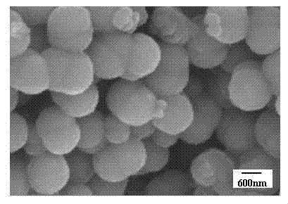 Method for preparing strontium titanate film having spherical grain accumulated porous structure