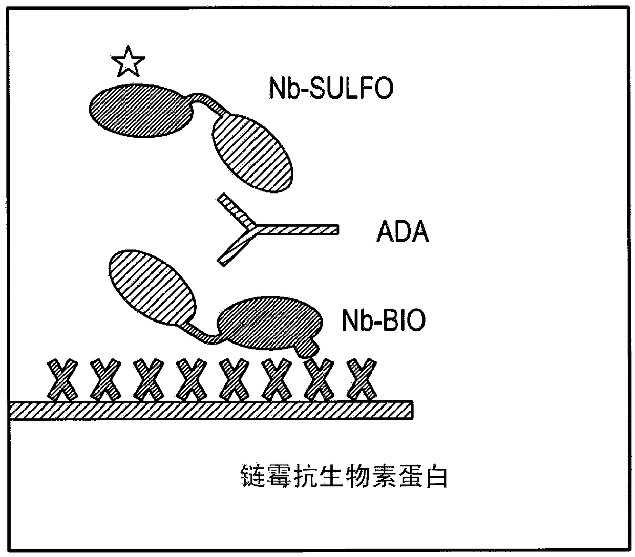 Techniques for predicting, detecting and reducing aspecific protein interference in assays involving immunoglobulin single variable domains