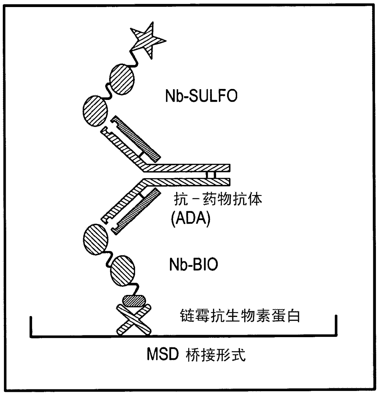 Techniques for predicting, detecting and reducing aspecific protein interference in assays involving immunoglobulin single variable domains