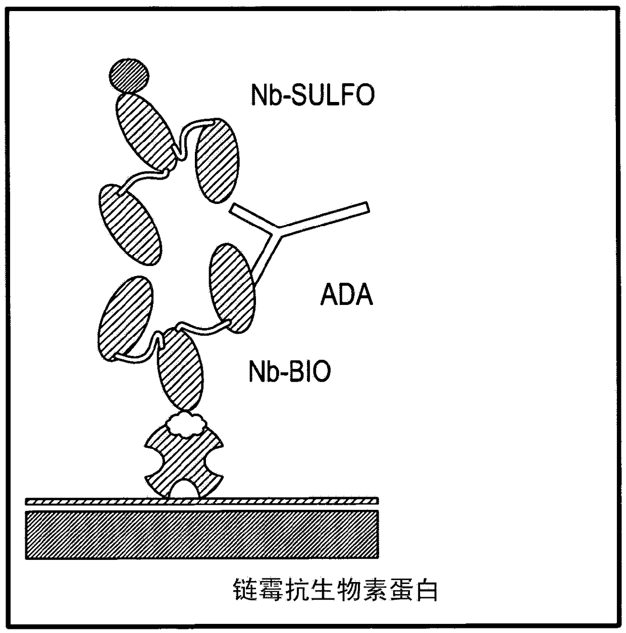 Techniques for predicting, detecting and reducing aspecific protein interference in assays involving immunoglobulin single variable domains