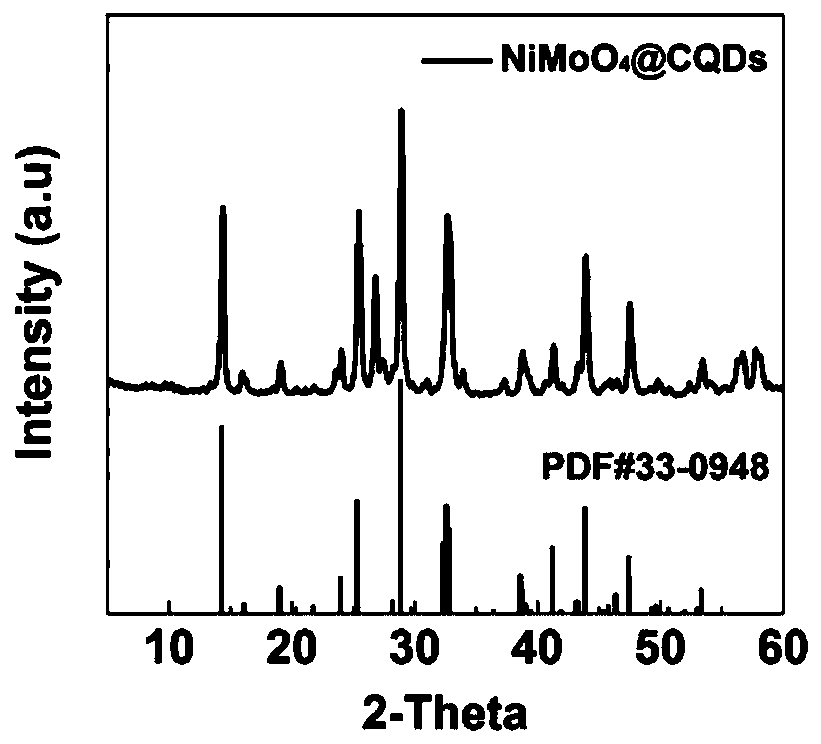 Preparation method of nickel molybdate doped carbon quantum dot negative electrode material of lithium ion battery