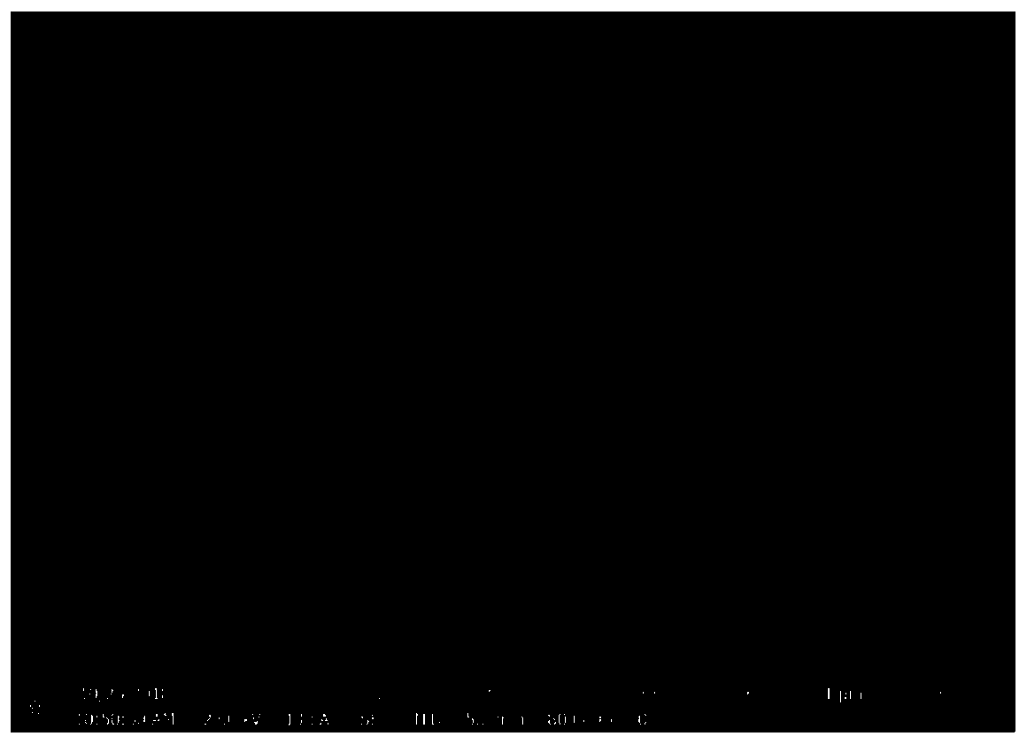 Preparation method of nickel molybdate doped carbon quantum dot negative electrode material of lithium ion battery