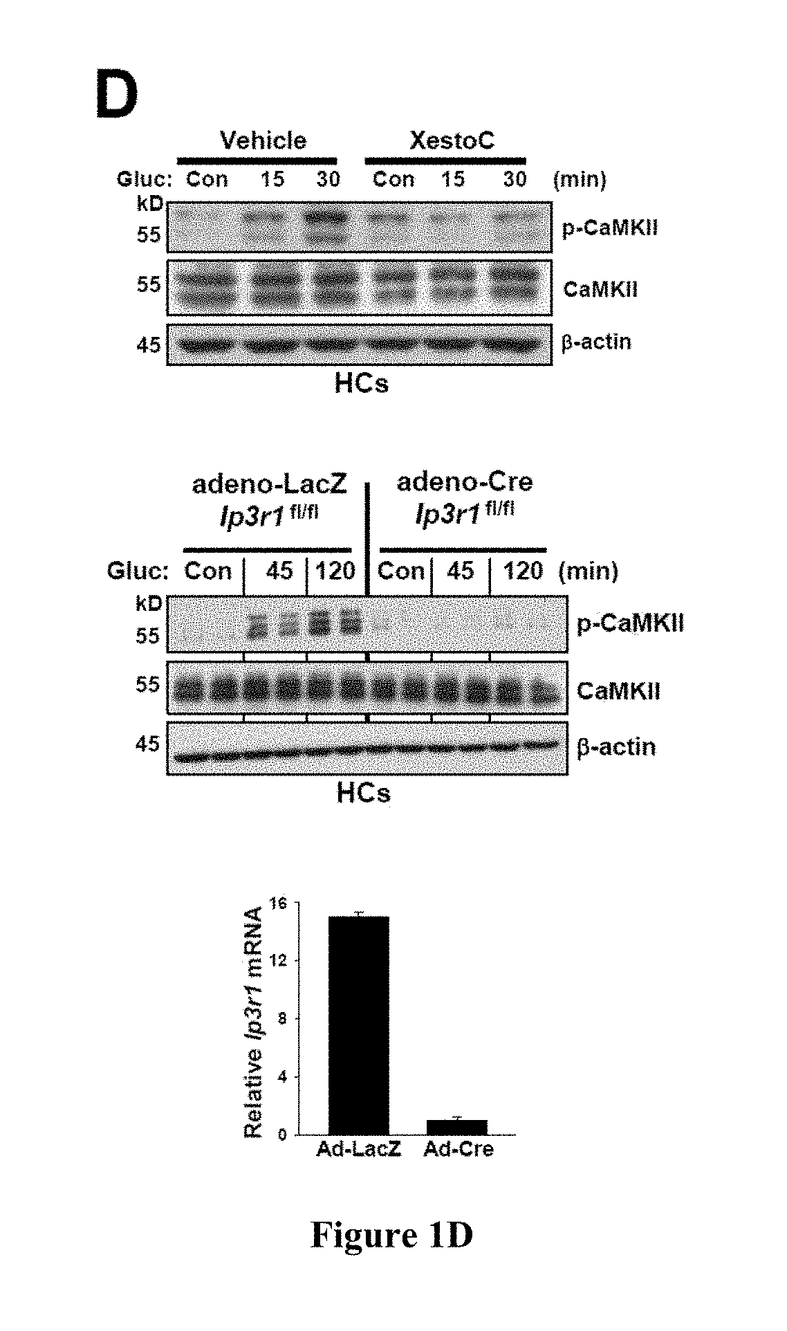 Method of treating a metabolic disorder induced by obesity in a subject in need thereof by administering MK2/3 inhibitors