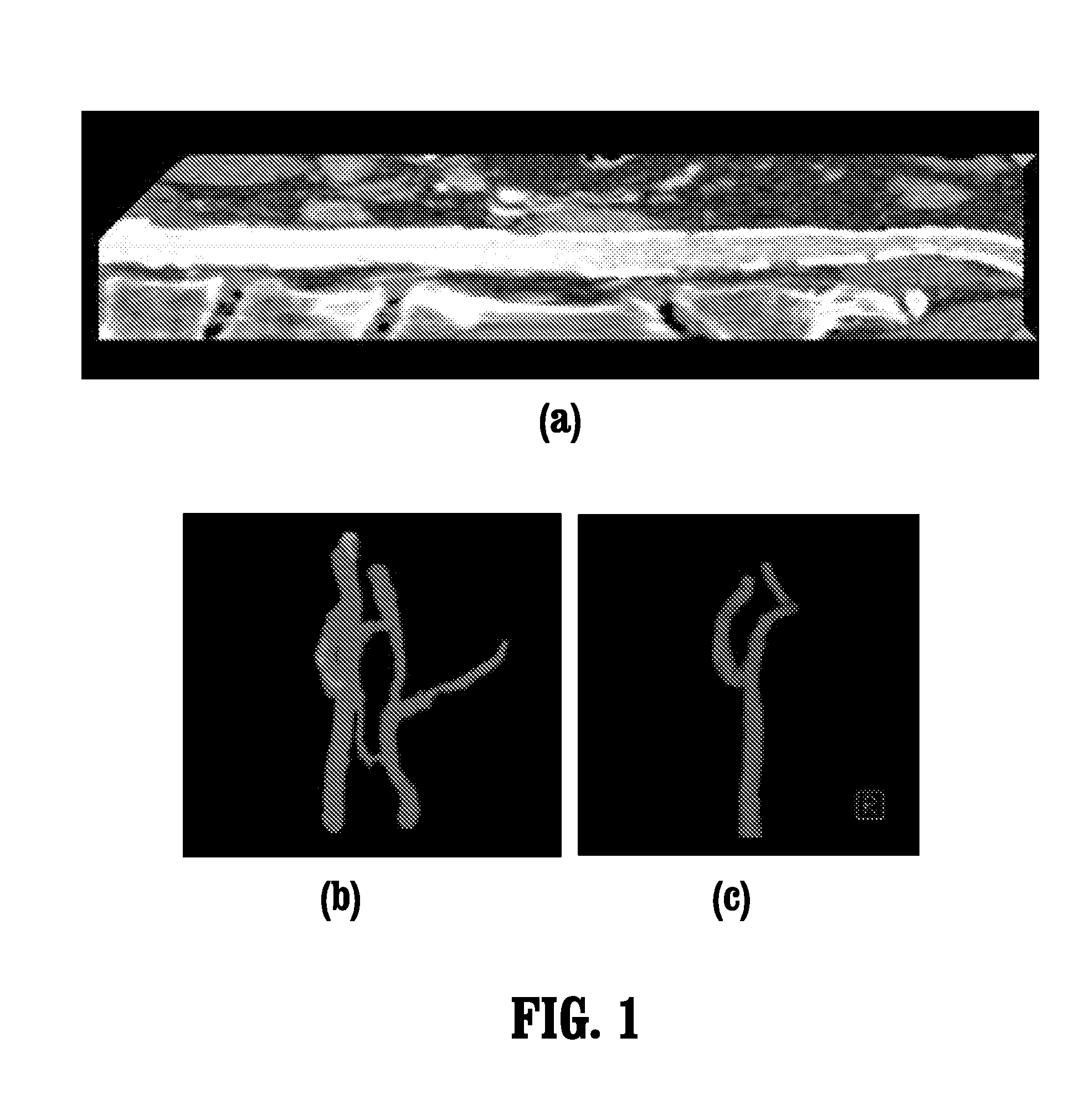 System and method for geometric modeling of tubular structures