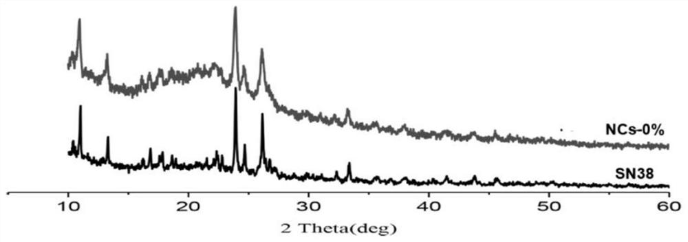 Preparation of Camptothecin Drug Nanocrystals by Reversible Decomposition