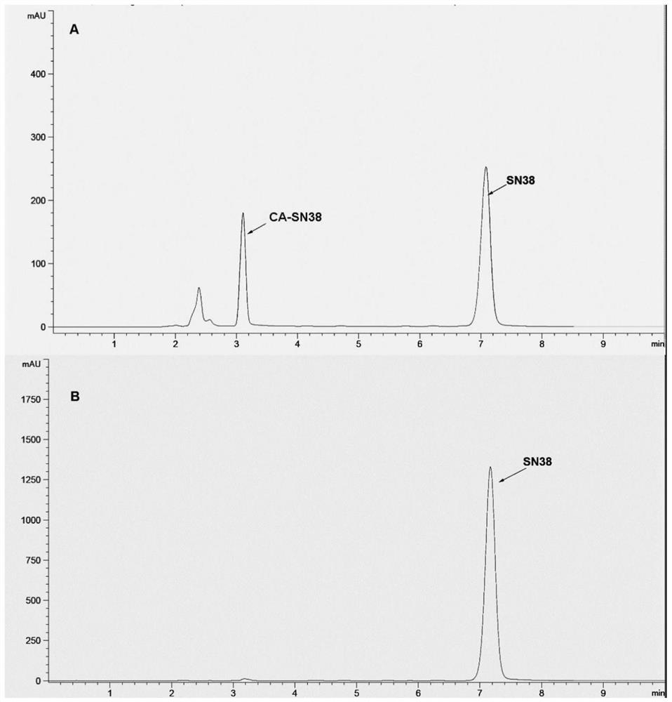 Preparation of Camptothecin Drug Nanocrystals by Reversible Decomposition