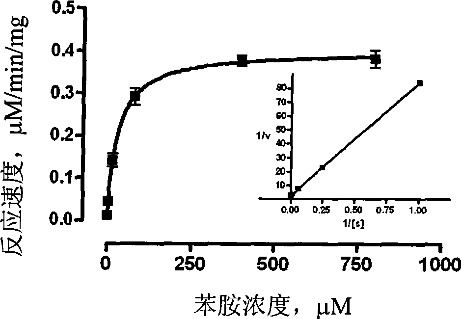 Pharmaceutical composition and use thereof