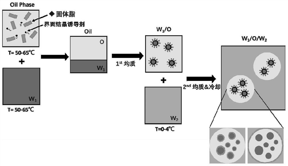 Pickering double emulsion with interface stabilized by solid lipid as well as preparation and application of Pickering double emulsion