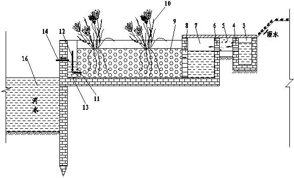 Unpowered riverside water ecology conservation and purifying system