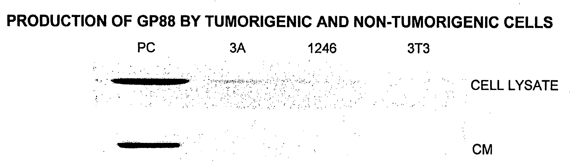 88kDa tumorigenic growth factor and antagonists