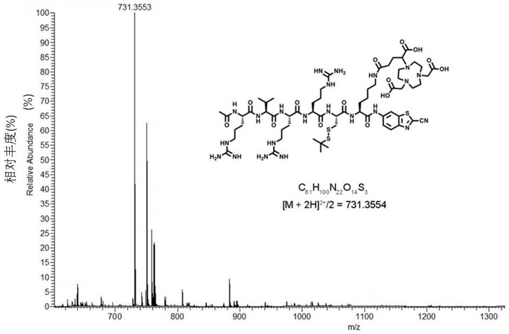 Ga labeled compound for nano positron imaging agent, and preparation ...