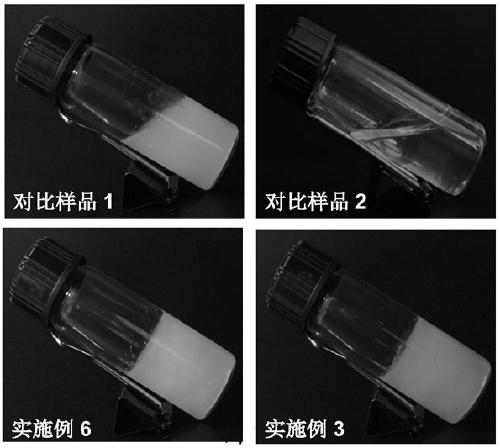 Preparation method of patinopecten yessoensis gonad zymolyte/kappa-carrageenan mixed gel