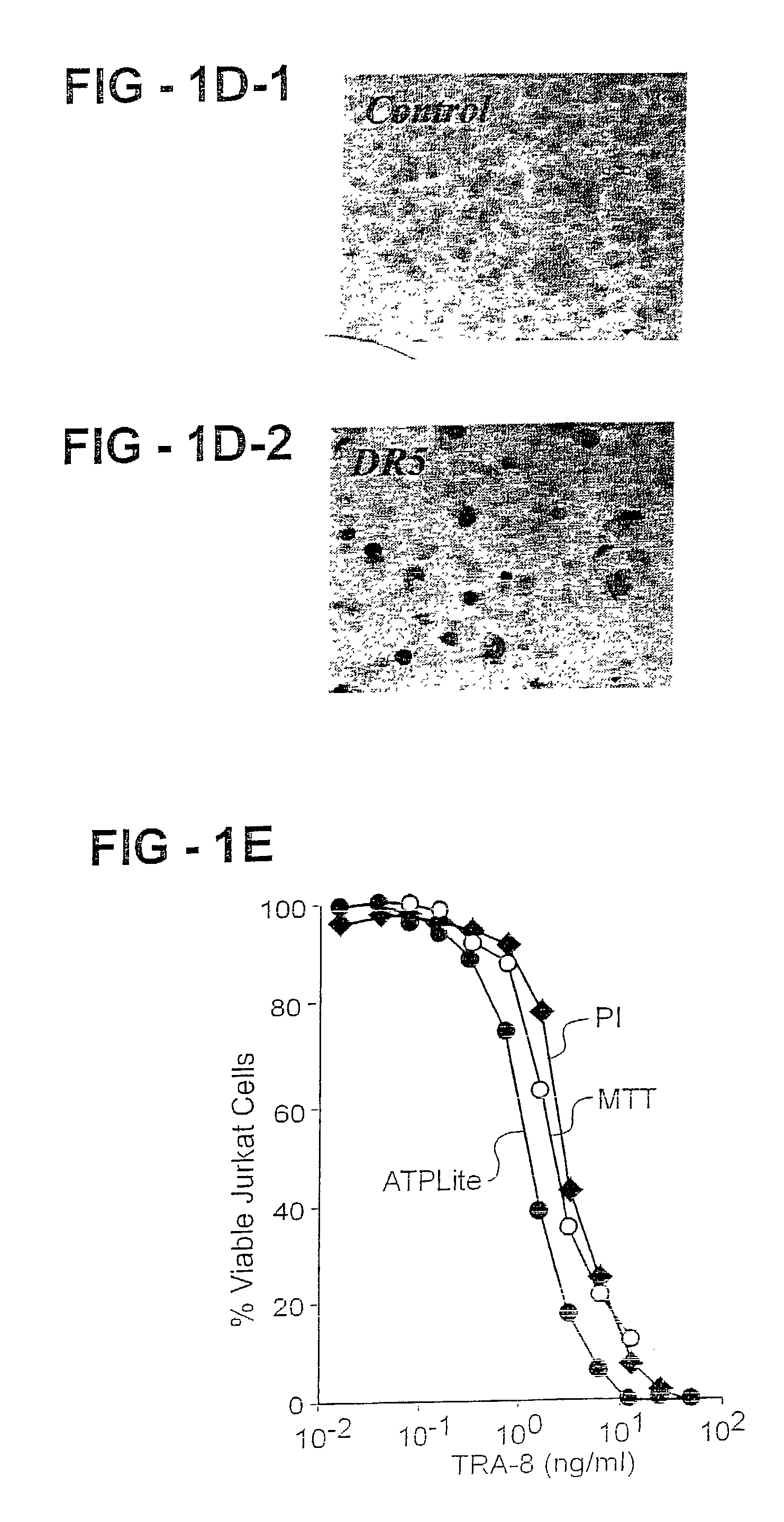 Combinations of DR5 antibodies and other therapeutic agents