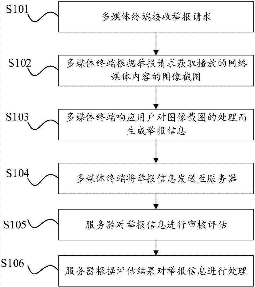 Network media supervision method and device