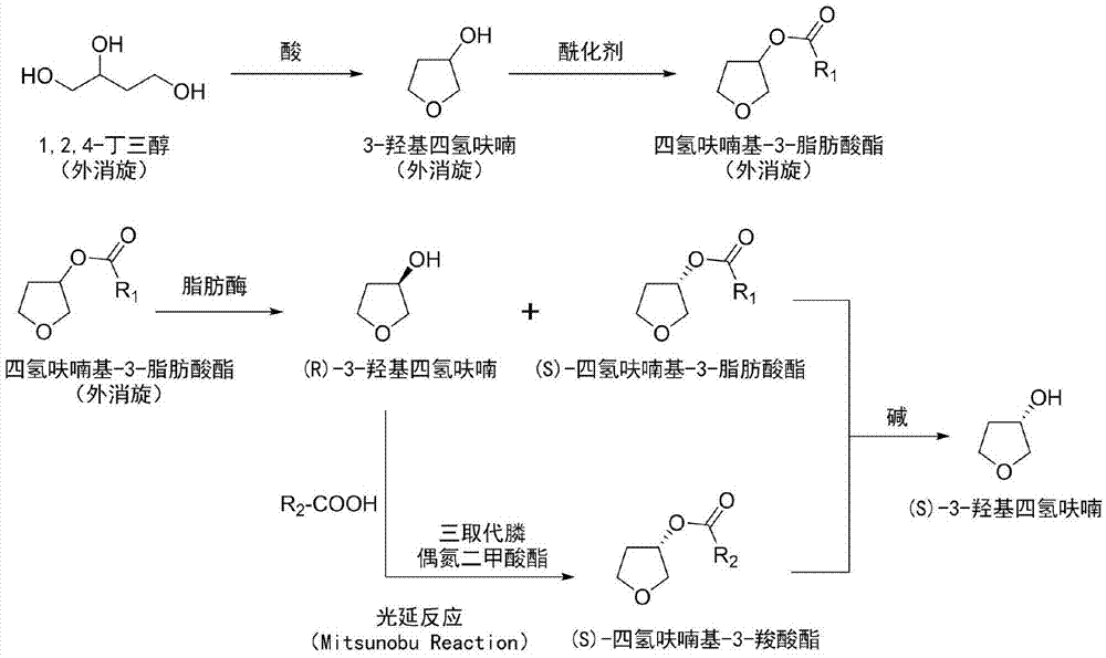 Preparation method of drug intermediate (S)-3-hydroxytetrahydrofuran