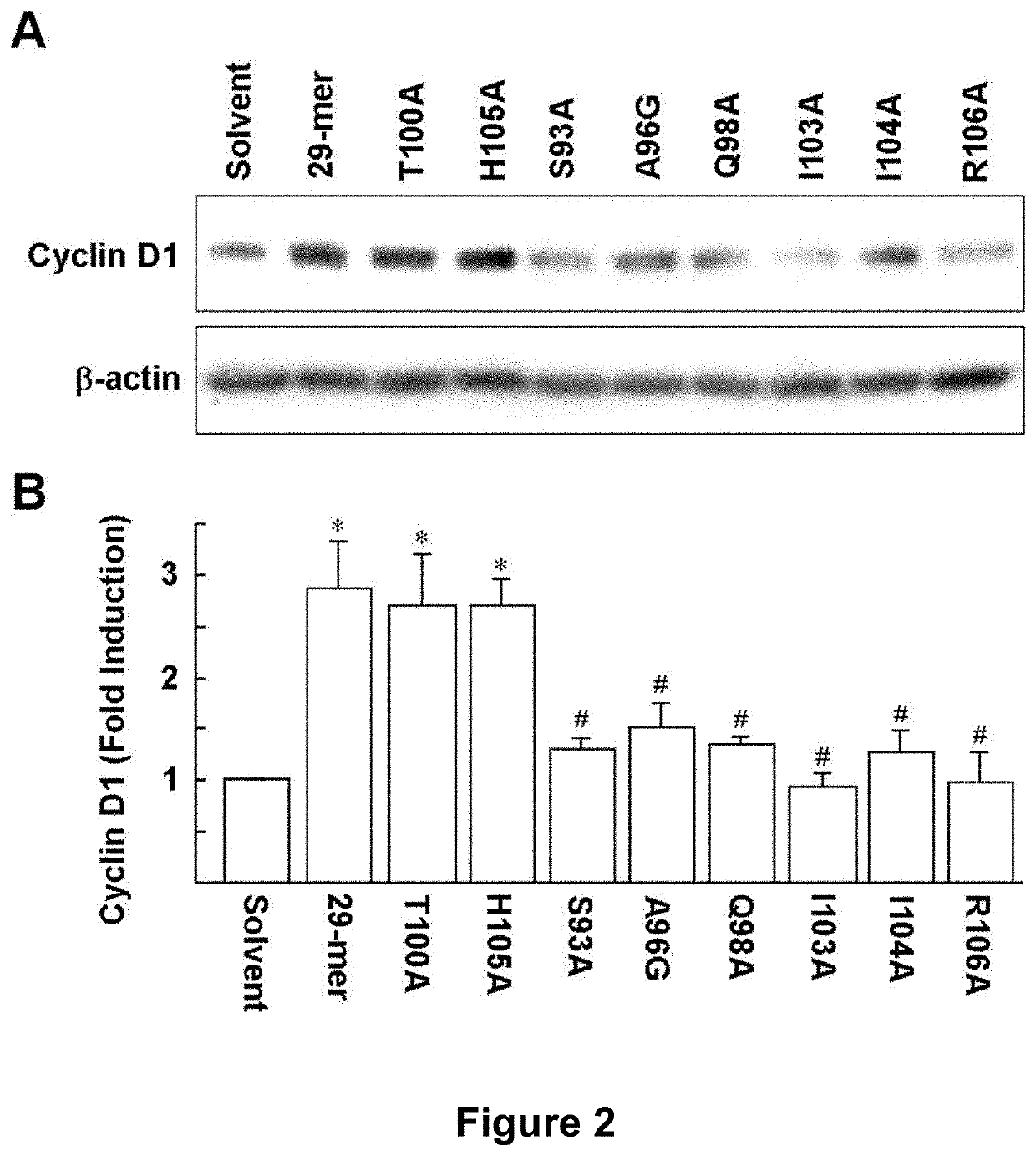 Application of pedf-derived short peptides in tendon healing