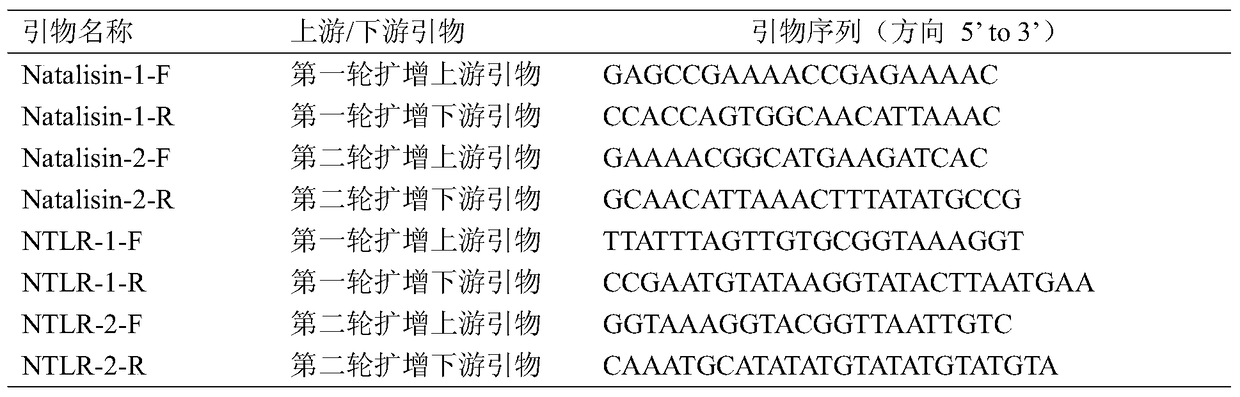 Neuropeptide natalisin and its receptor gene and its application in specific control agent of Bactrocera dorsalis