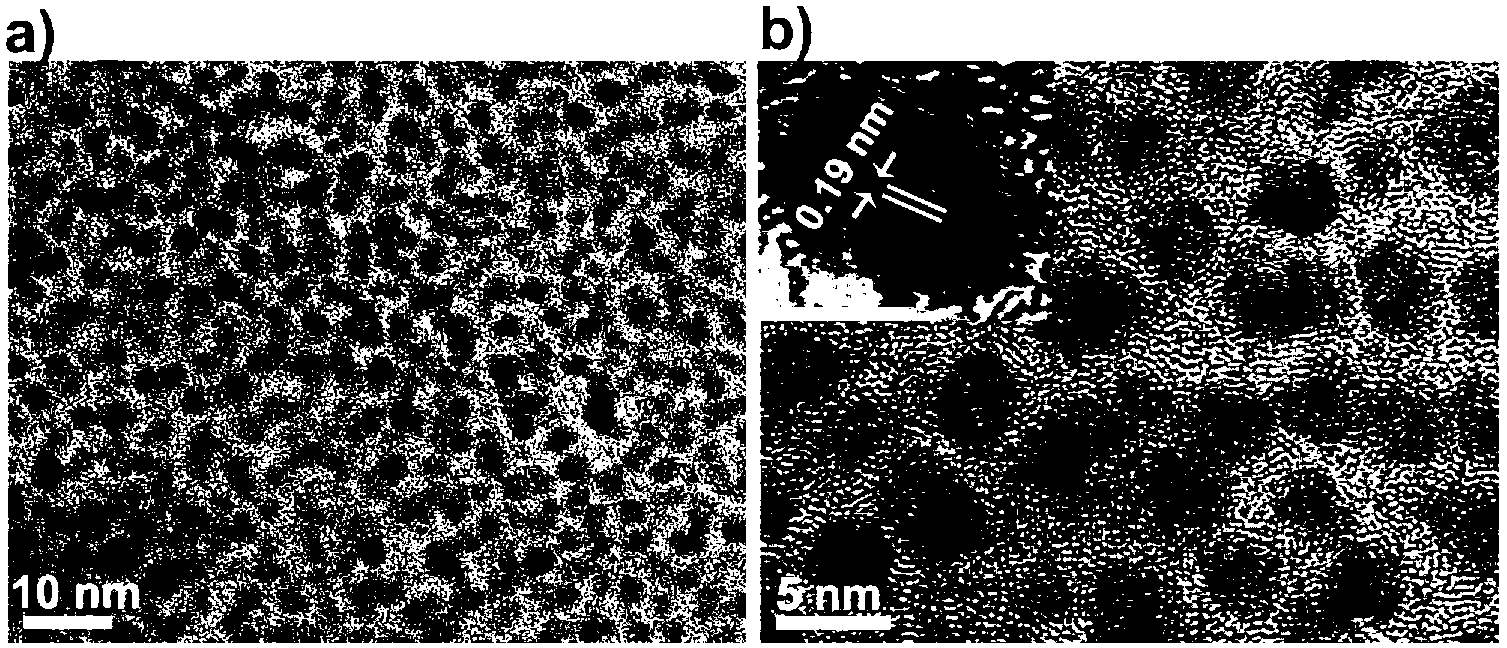 Method for preparing water-soluble fluorescent silicon nanoparticle by utilizing microwave radiation