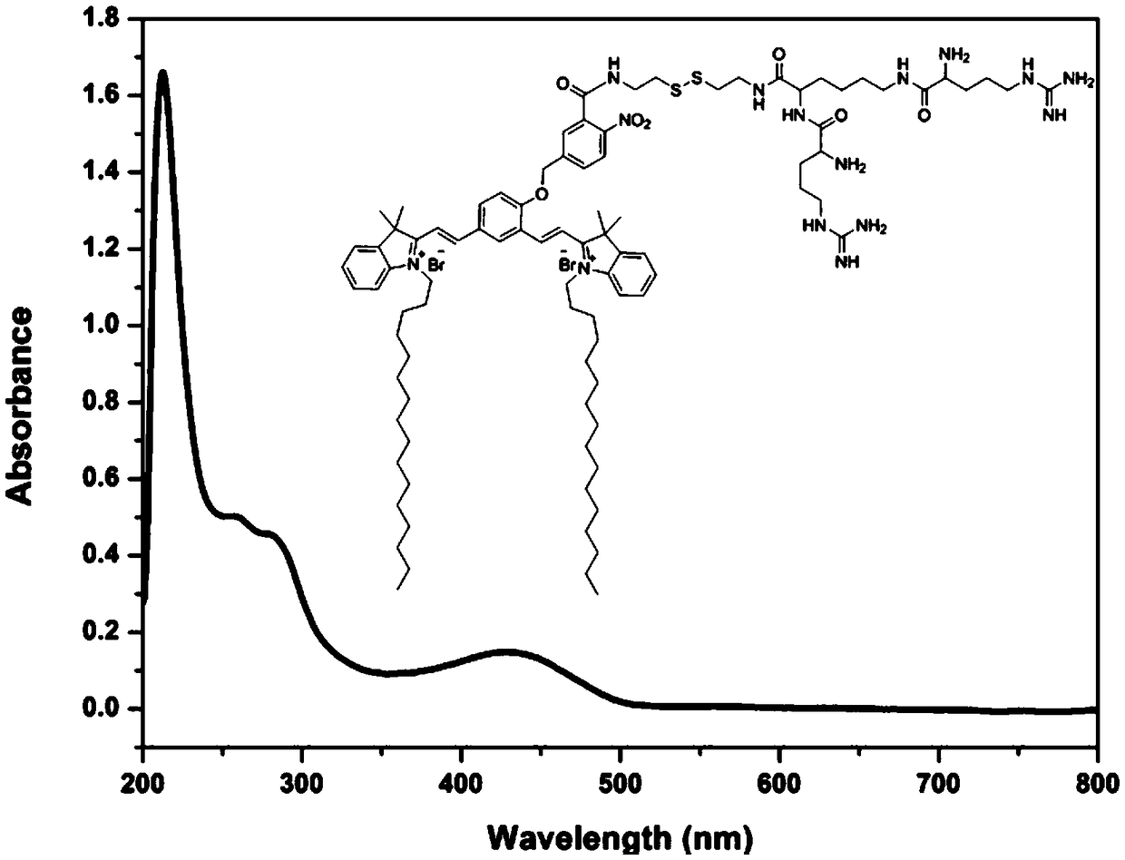 Near infrared dyes, targeted imaging agent thereof, nanocarrier, anticancer drug and application