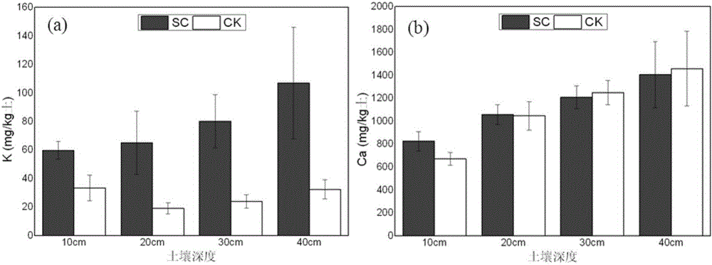 Method for improving and enhancing efficiency of potassium-deficient and calcium-poor rice field by utilizing biomass charcoal