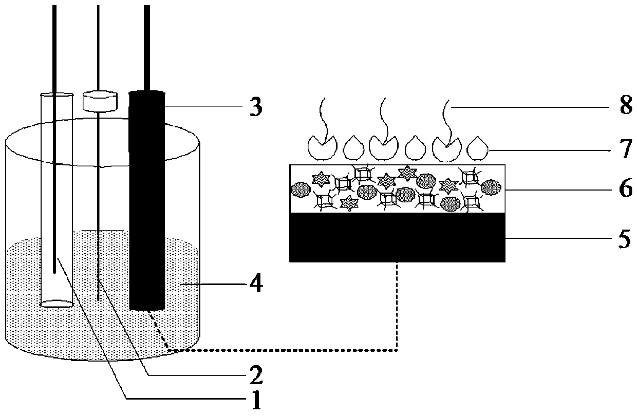 Simultaneous detection method and sensor of L-tyrosine and based on composite membrane modified electrode