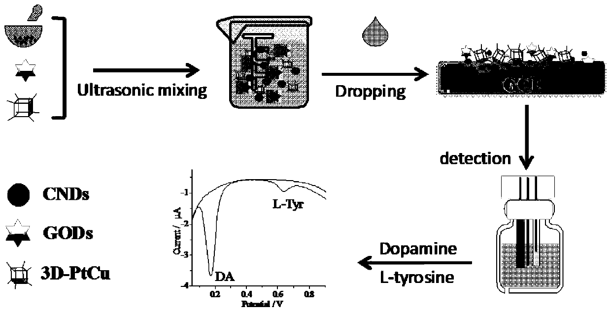 Simultaneous detection method and sensor of L-tyrosine and based on composite membrane modified electrode