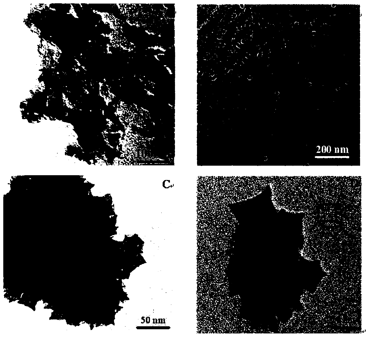 Simultaneous detection method and sensor of L-tyrosine and based on composite membrane modified electrode