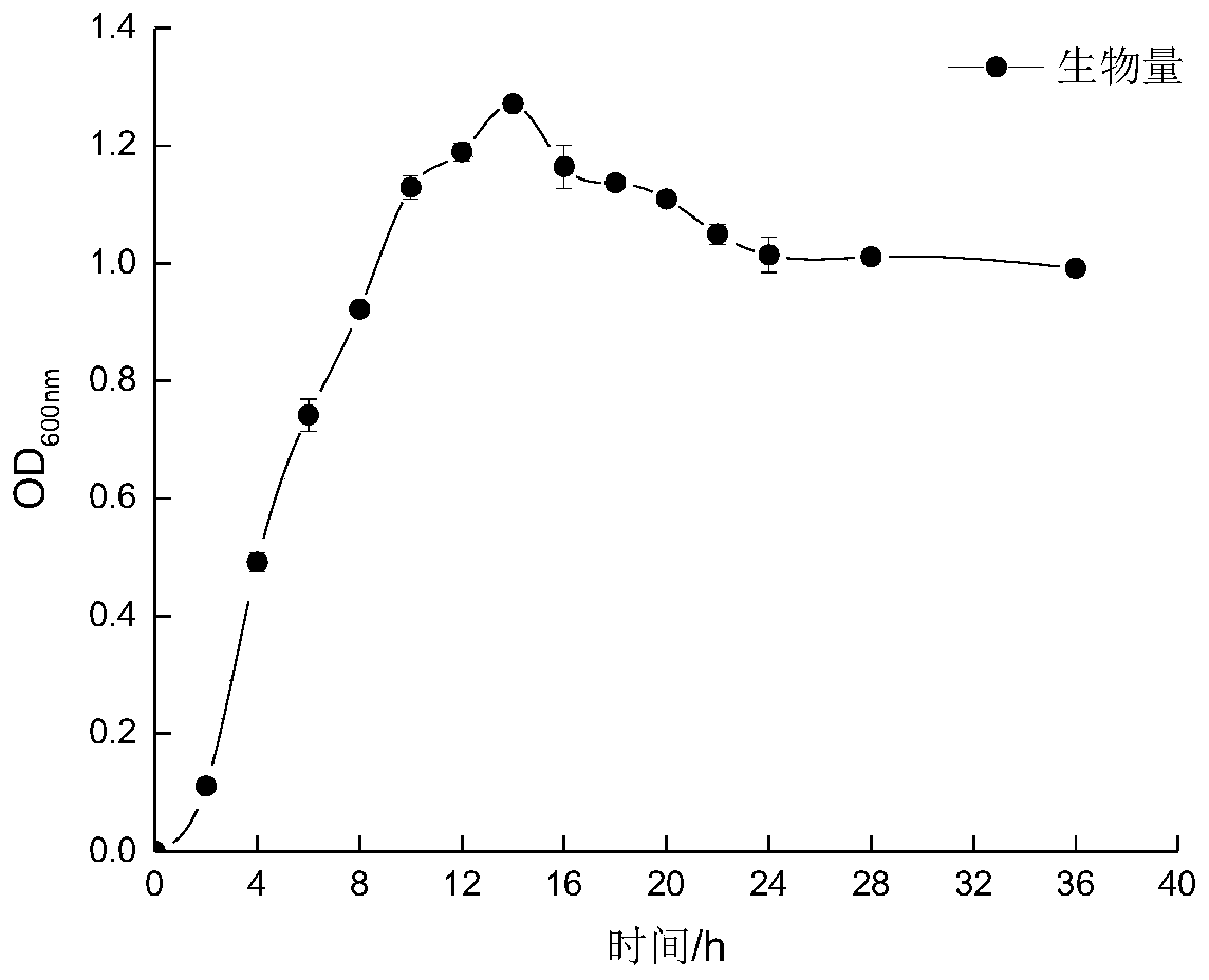 Application of bacillus DL-1 whole cell in catalytic resolution of styralyl acetate