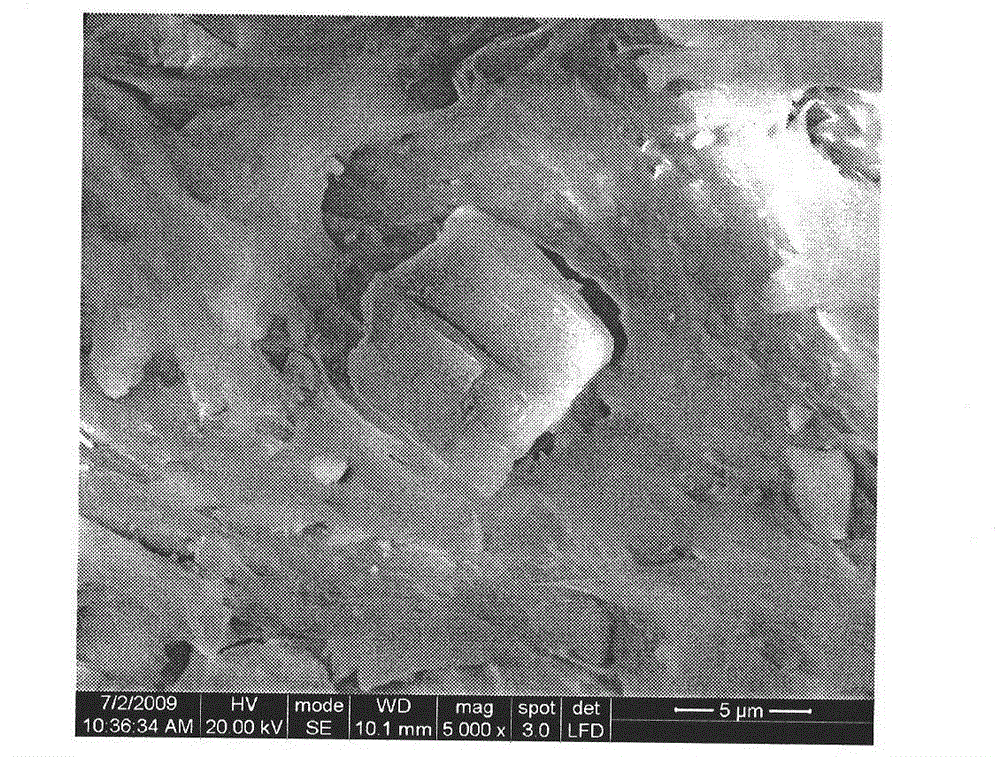 Surface modified calcium carbonate and preparation method thereof