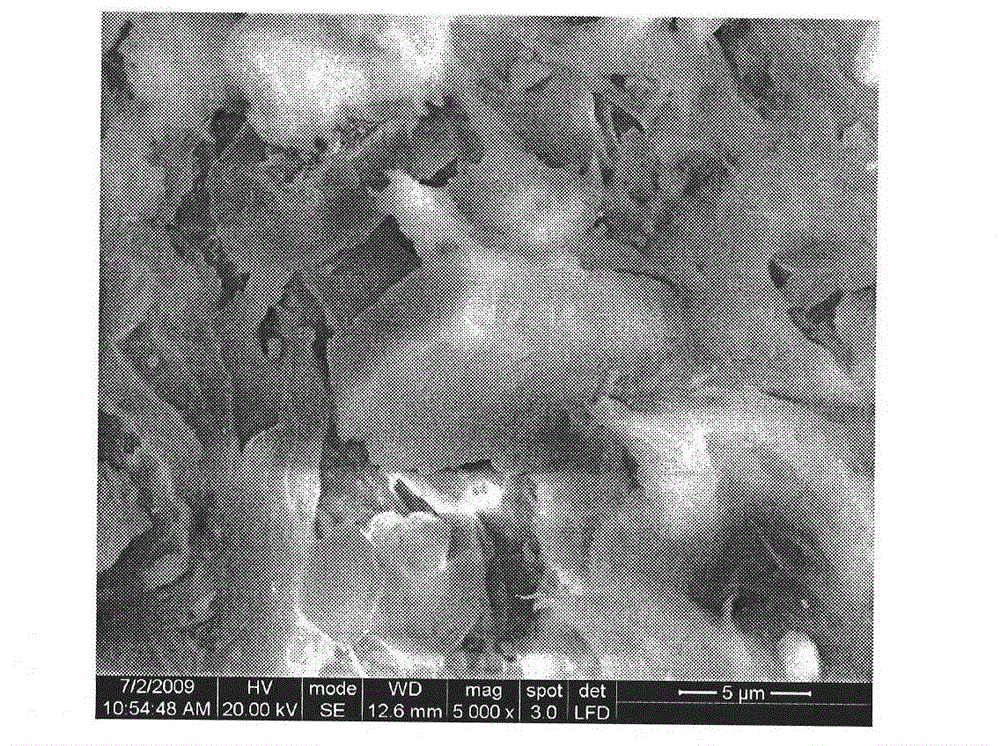 Surface modified calcium carbonate and preparation method thereof