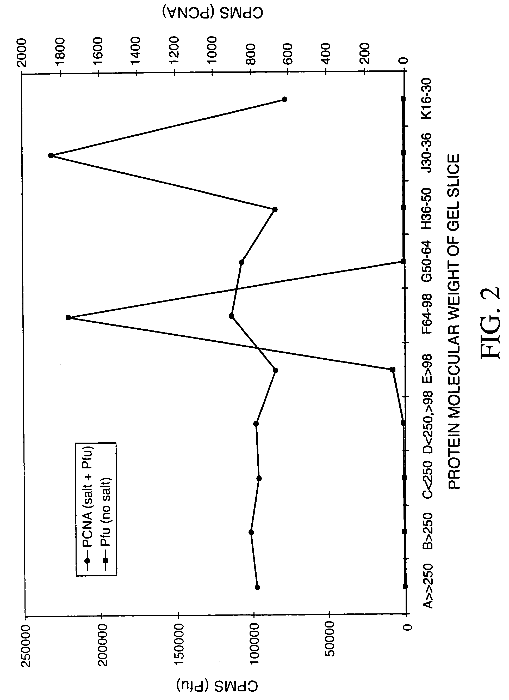 Pfu replication accessory factors and methods of use