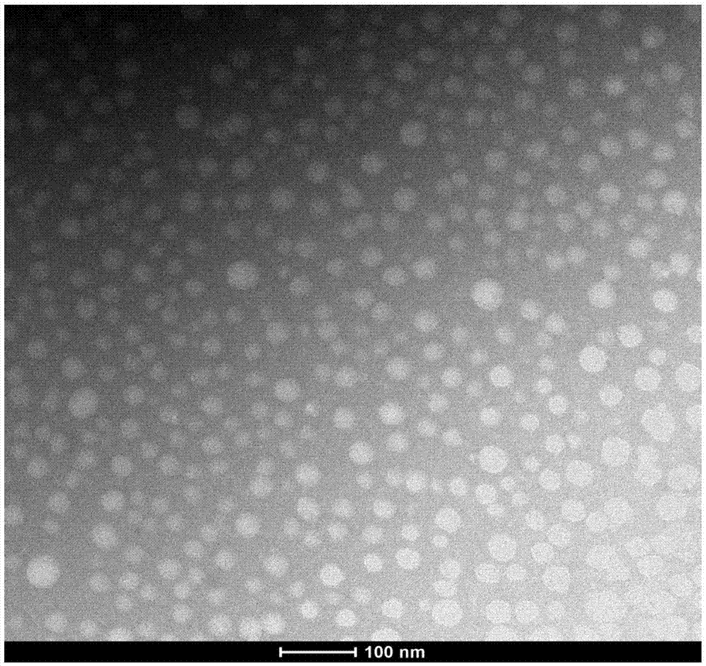 PM (PTXPEG-PLA micelles)-coated nano-cluster and preparation method thereof
