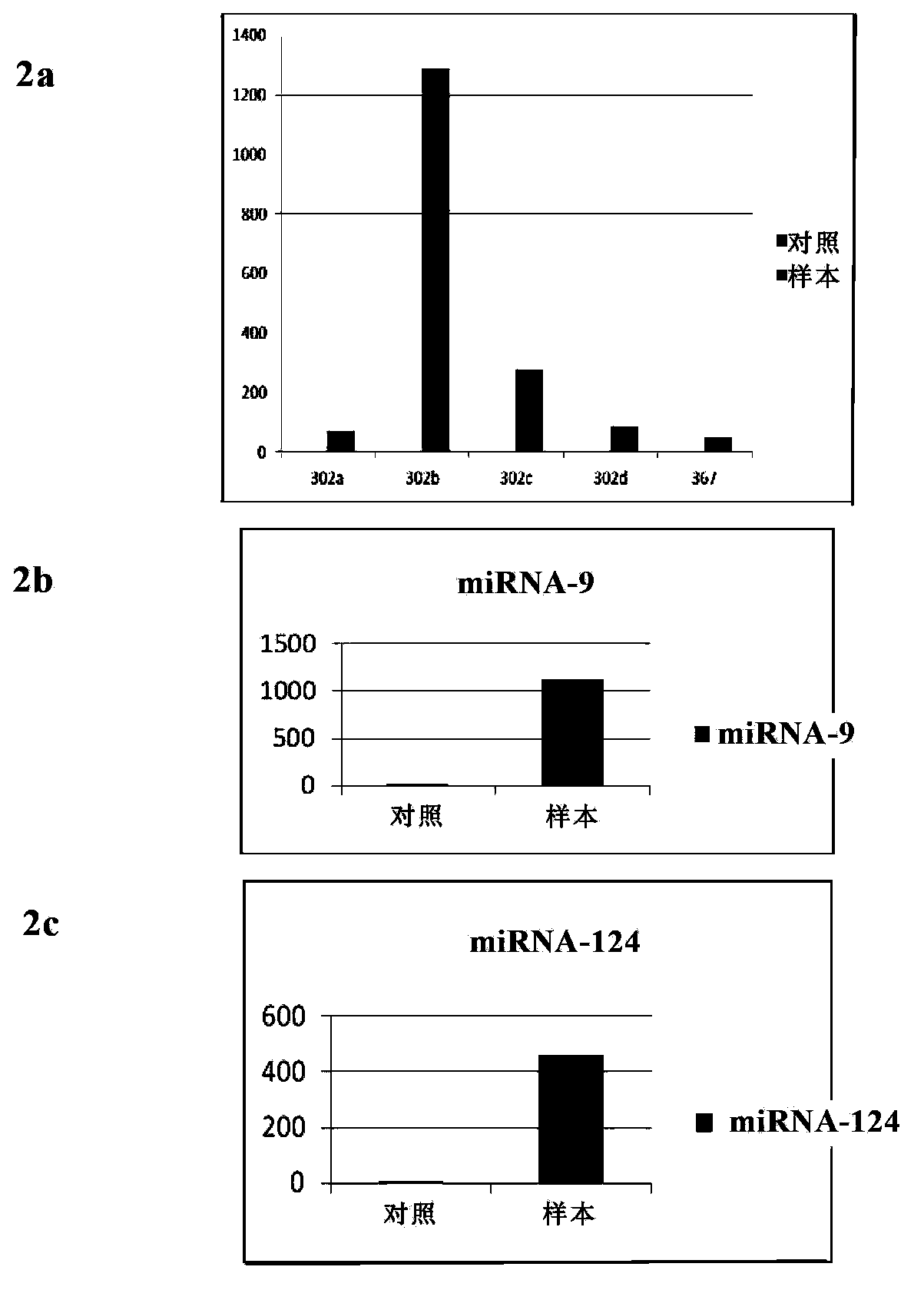 Method for inducing transdifferentiation of fibroblasts into neuronal cells and application thereof