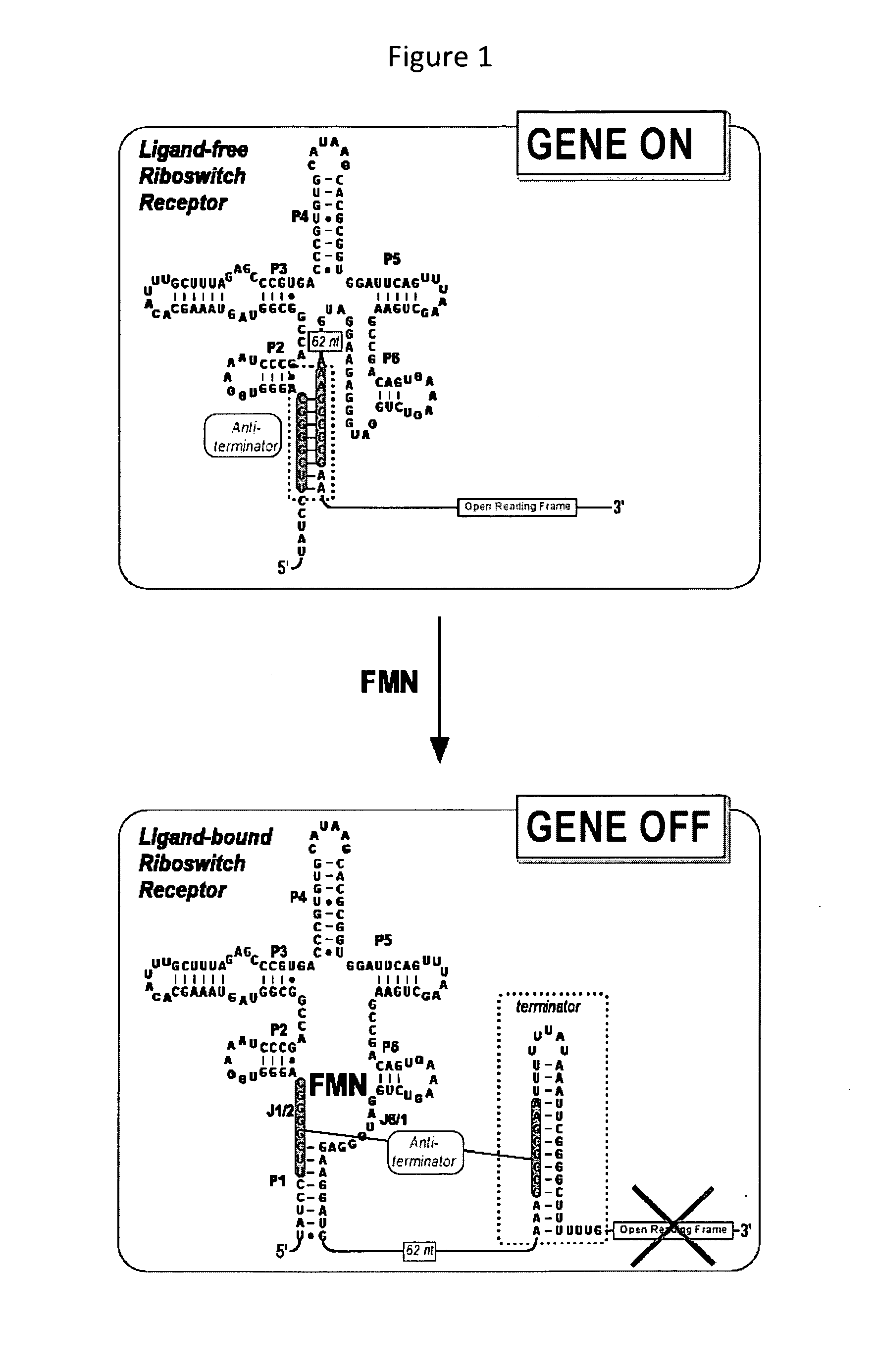 Methods for screening and identifying compounds