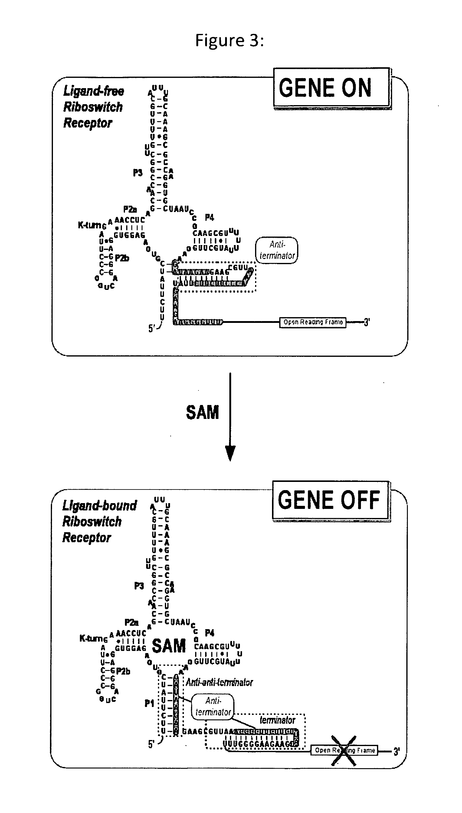 Methods for screening and identifying compounds