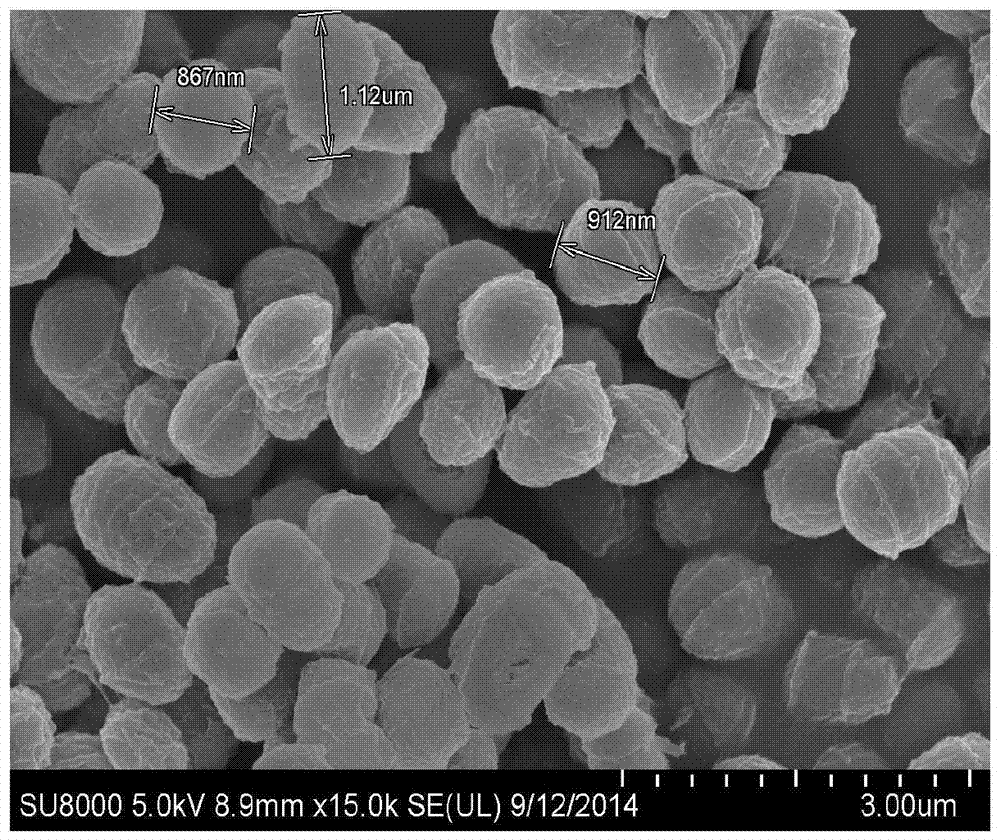 Rhodococcus strains and their applications