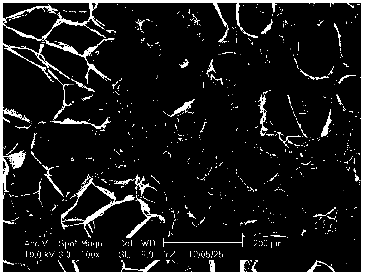 A high-melt strength impact-resistant polypropylene foam material and its preparation method