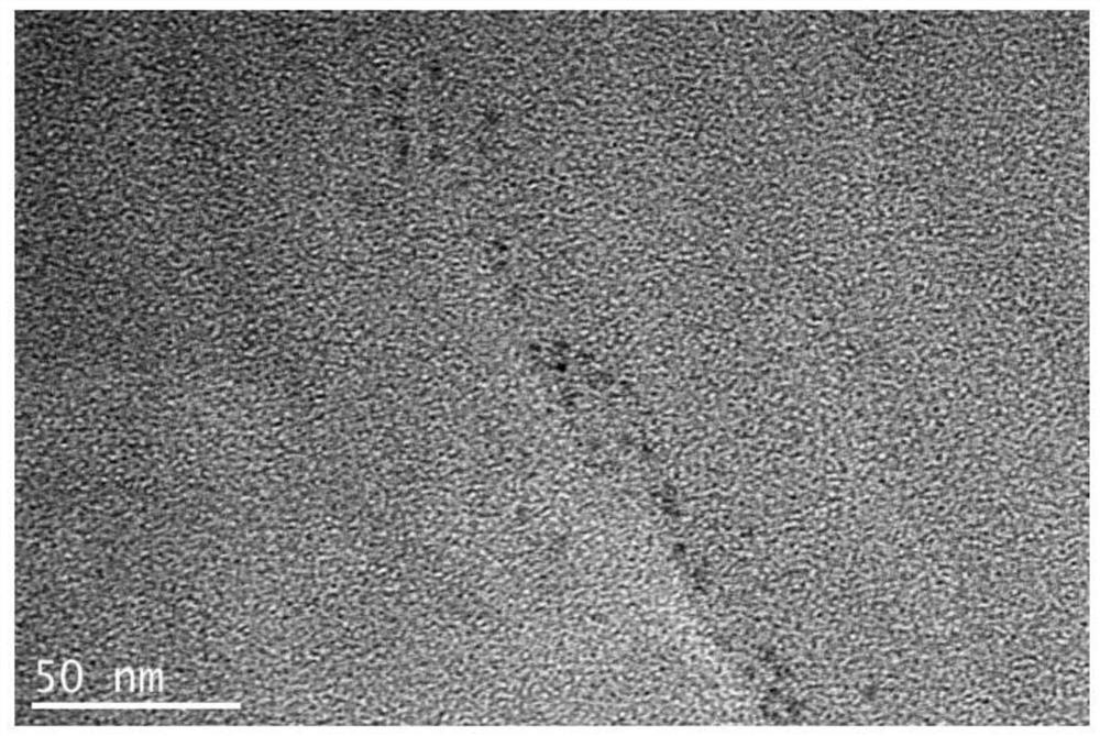 Preparation method of oil-soluble fluorescent tmds quantum dots and colloids thereof