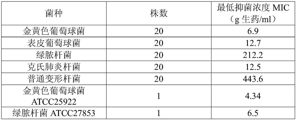 Medicine for treating bronchitis