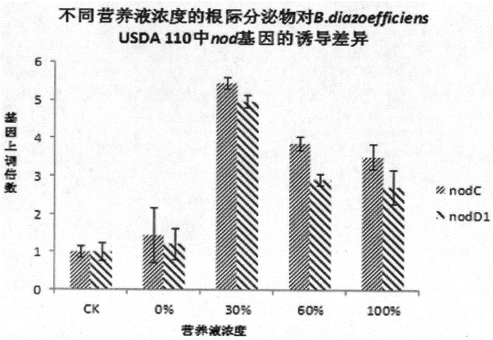 A method for preparing soybean root exudates that efficiently promotes soybean rhizobia to compete for nodulation