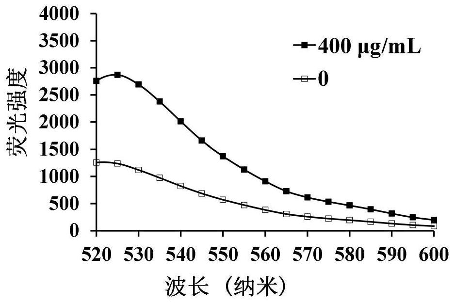 Barium titanate-graphene composite material as well as preparation method and application thereof