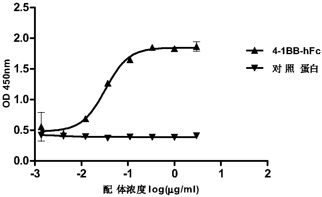 4-1BB antibody, and preparation method and application thereof