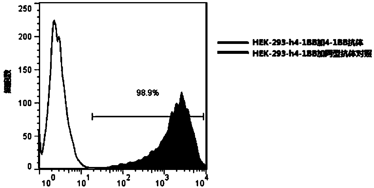 4-1BB antibody, and preparation method and application thereof
