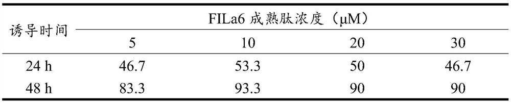 Inducer for attachment metamorphosis of urechis unicinctus larvae as well as preparation method and application of inducer