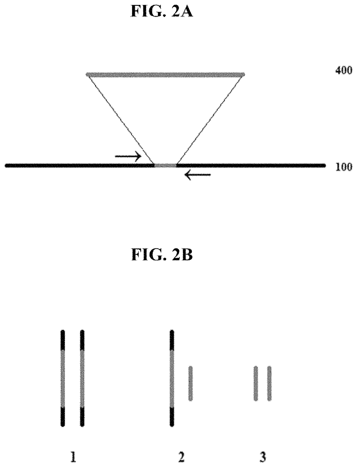 Method for genetic detection using interspersed genetic elements: a multiplexed DNA analysis system