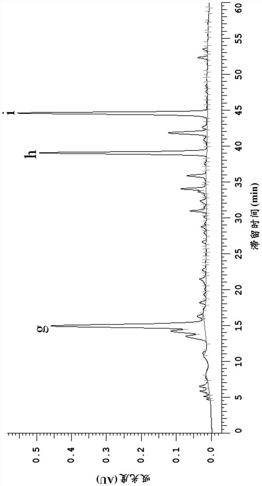 Use of Echinacea and Salvia miltiorrhiza extracts for preparing antiviral composition and preparation method of antiviral composition