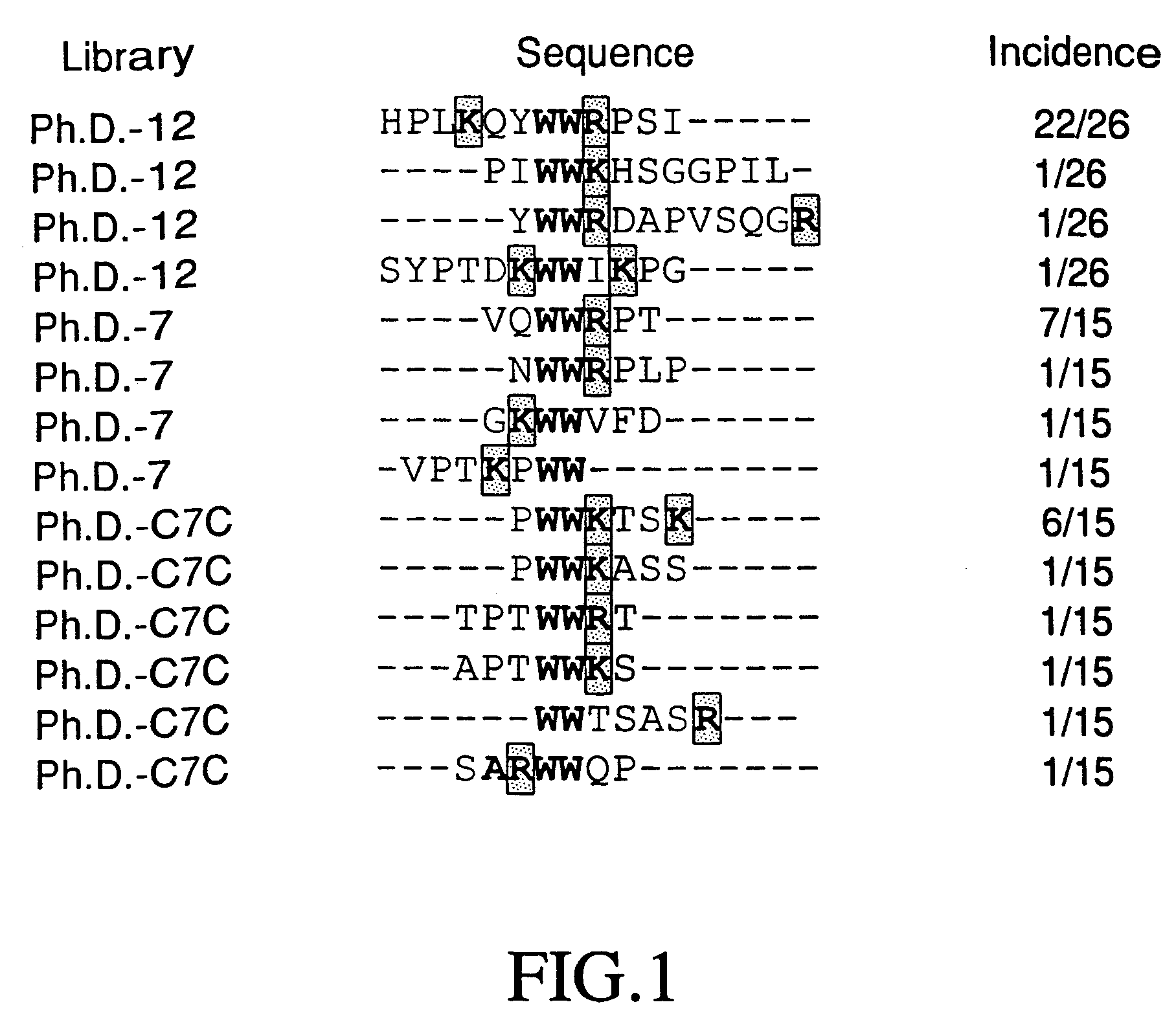 Antimicrobial peptides and methods for identifying and using such peptides