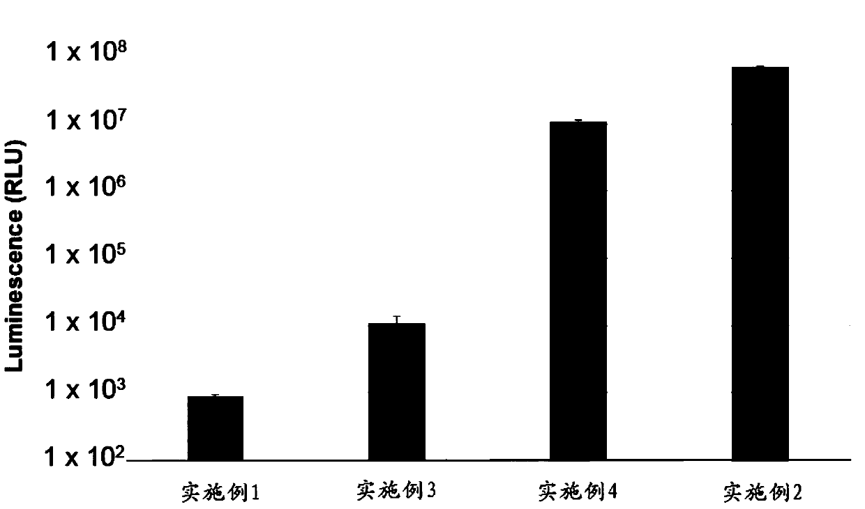 Method for detecting interaction between proteins in vitro, detection kit and application of detection kit