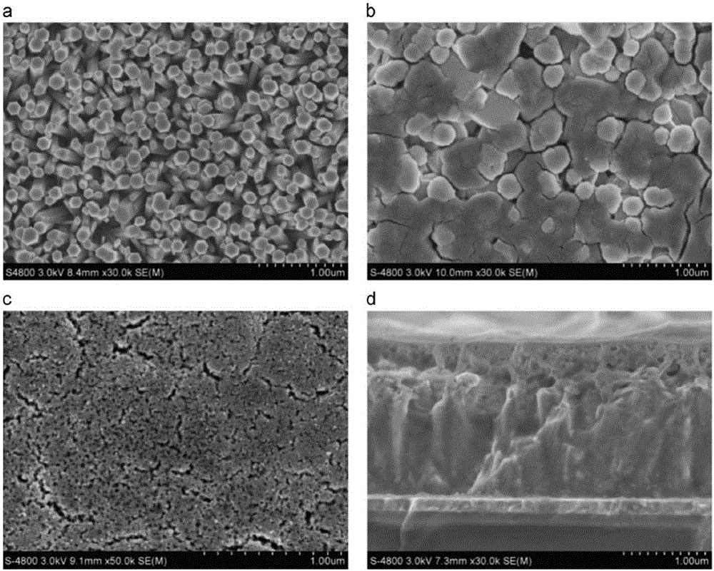 ZnO nano-rod photo-anode and preparation method thereof, solar cell